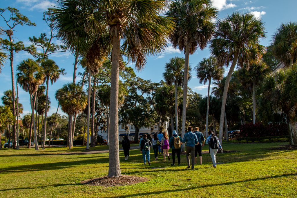 People walking in grass surrounded by palm trees.