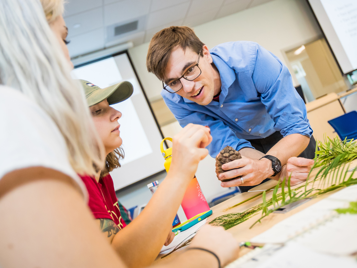 Environmental Studies New College of Florida