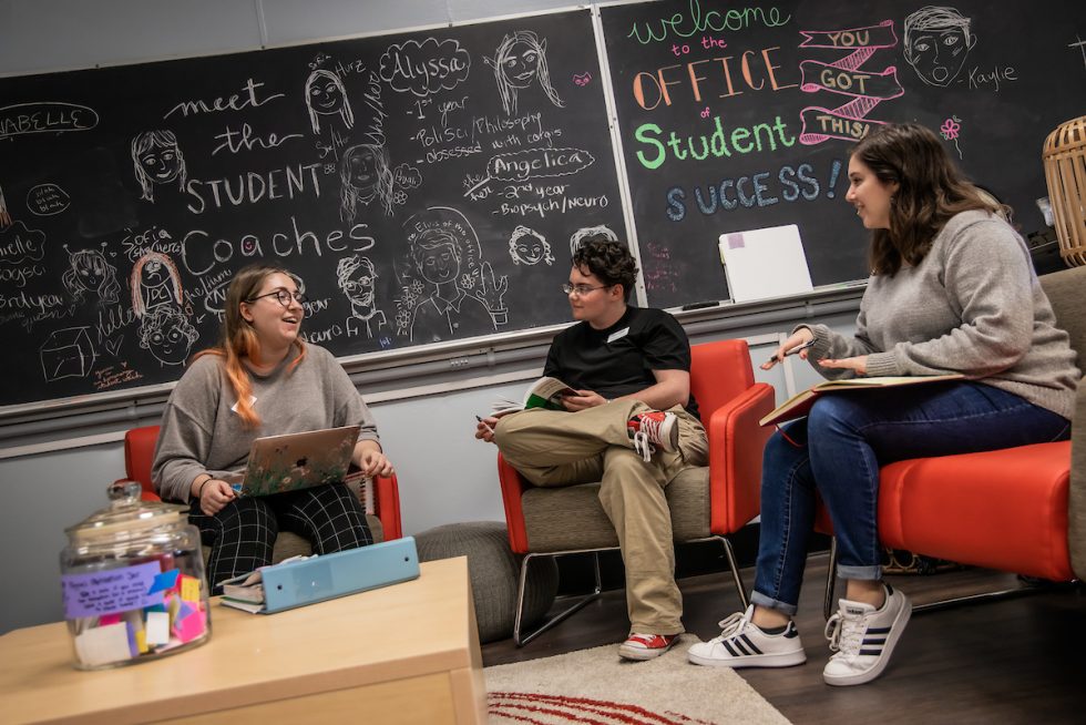 Academics & Majors New College of Florida