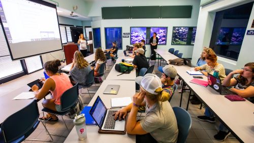 Academics & Majors - New College of Florida