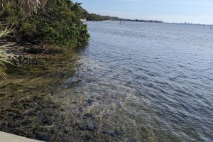 Photo of water on the North Campus Coast