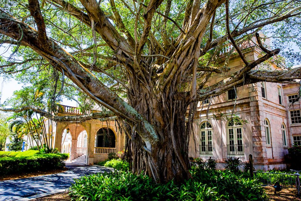 Home New College of Florida