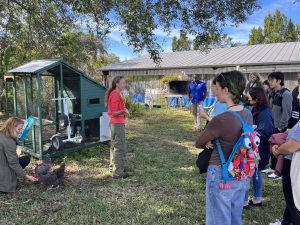 Students Learn How Chickens Serve as Sentinel Posts for Pandemics at Sarasota County Mosquito Management Services.